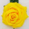 Flor Espanhola Grande ( várias cores)