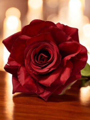 Flor flamenca Toledo vermelha