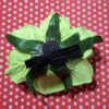Flor com passador Valência