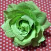 Flor com passador Valência